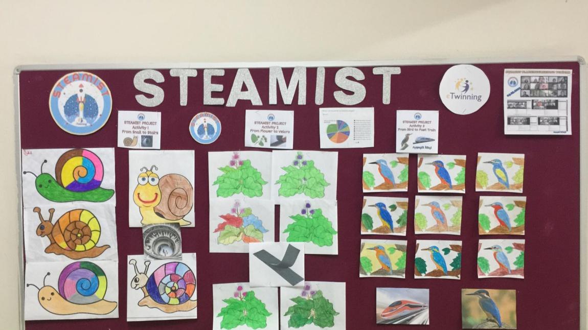 STEAMIST PROJESİ